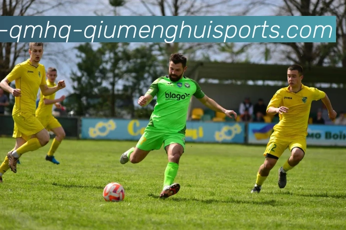 多媒体互动体验